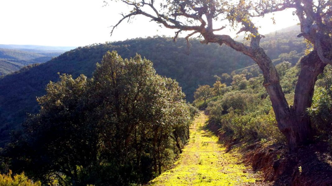 Este es el parque nacional más bonito de España