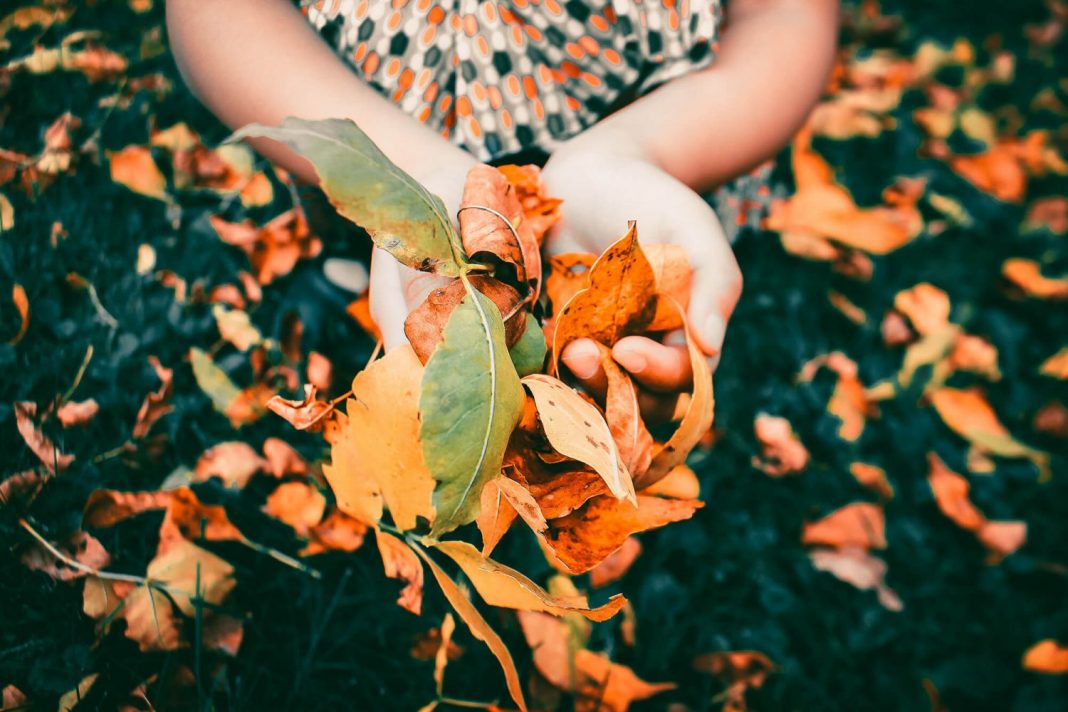 Esto es lo que le pasa a tu cuerpo cuando llega el otoño