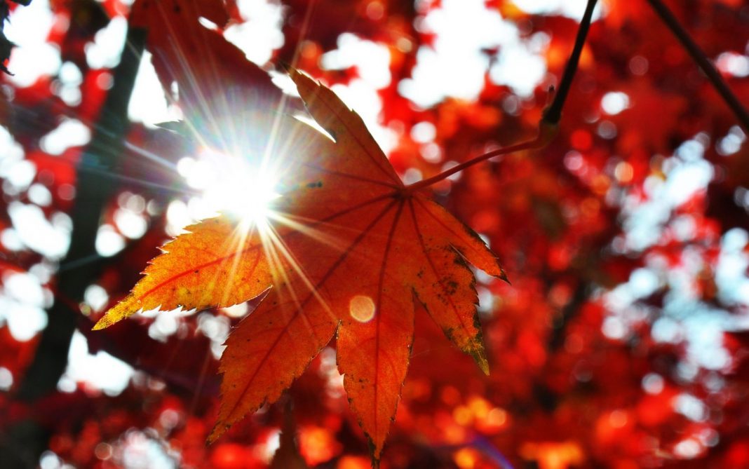 Esto es lo que le pasa a tu cuerpo cuando llega el otoño