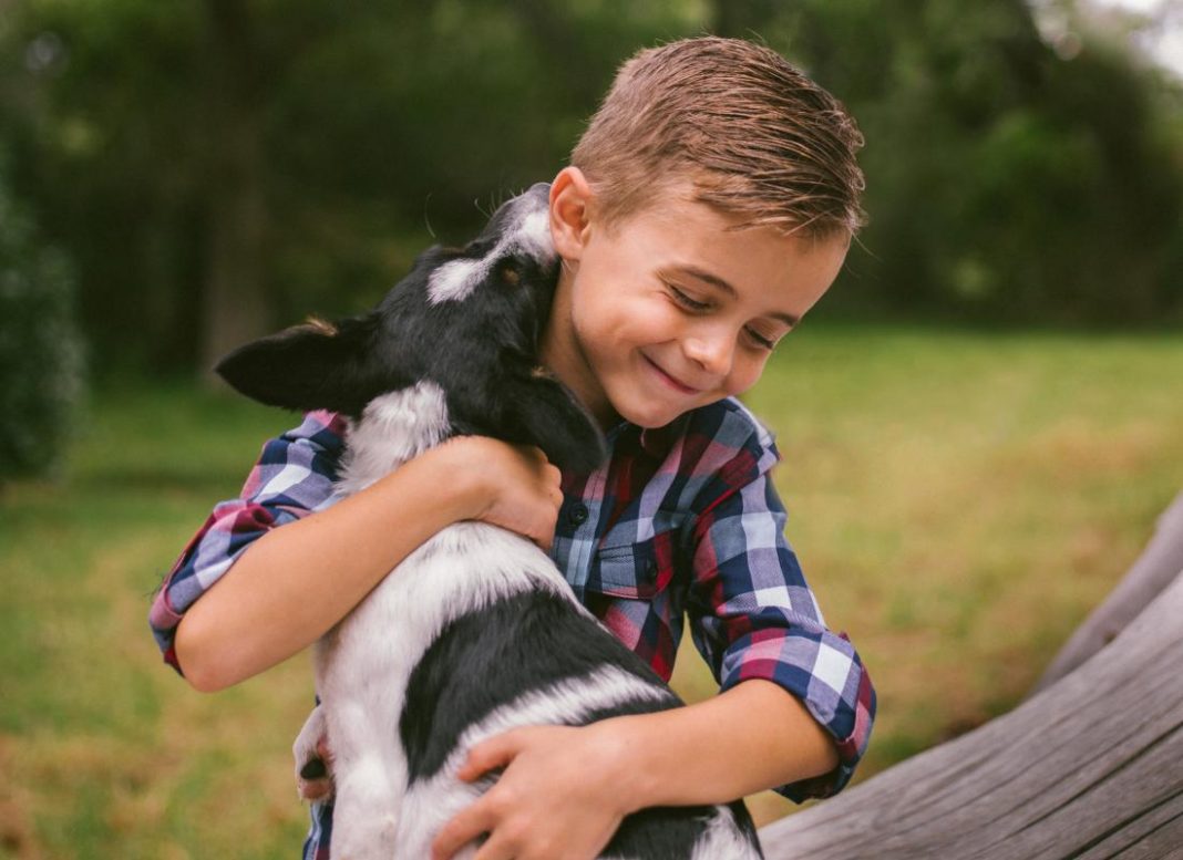 Las cosas que nunca deberías hacer si tienes un perro