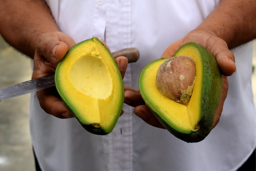 El aguacate ‘light’, ¿de verdad no engorda?