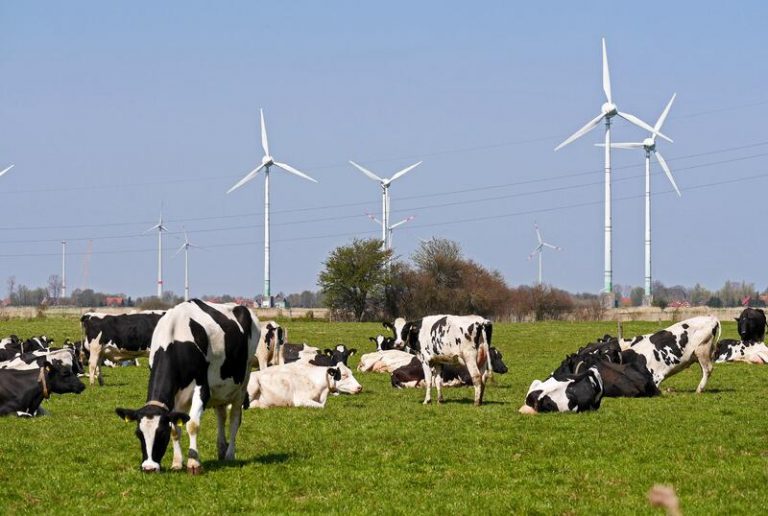 Appa: Se deberían incoporar 5 GW al año de energías verdes para cumplir los objetivos de 2030
