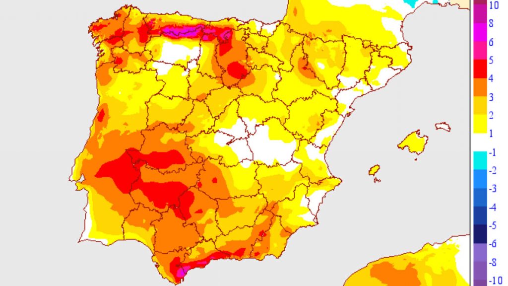 ¿Qué Es La Cebolla Metereológica?