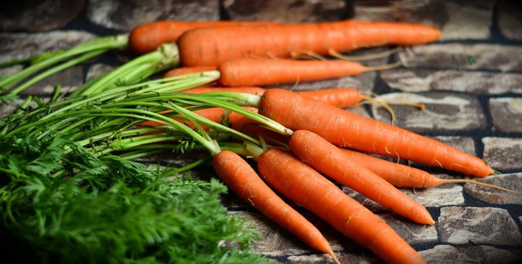 Lentejas de verduras: estos son los mejores ingredientes para el plato