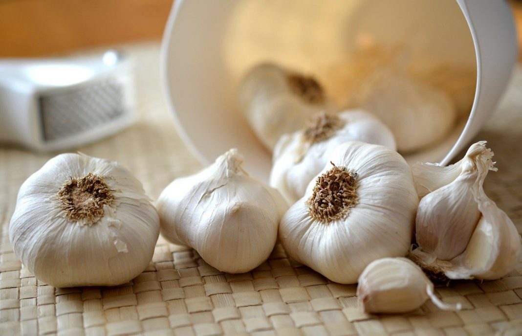 Estos son los pasos para hacer un alioli de leche muy sano