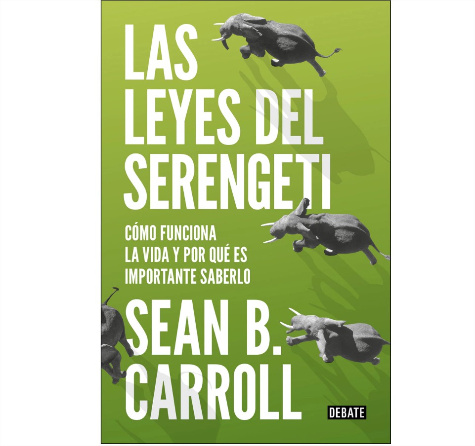 las leyes del serengeti