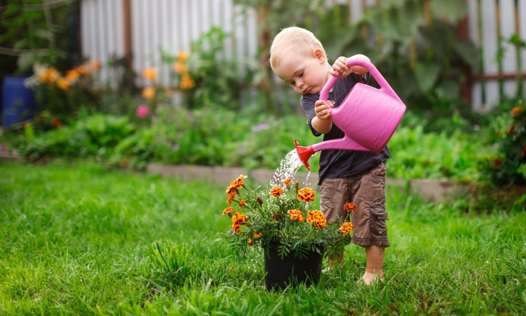 10 plantas peligrosas para los niños