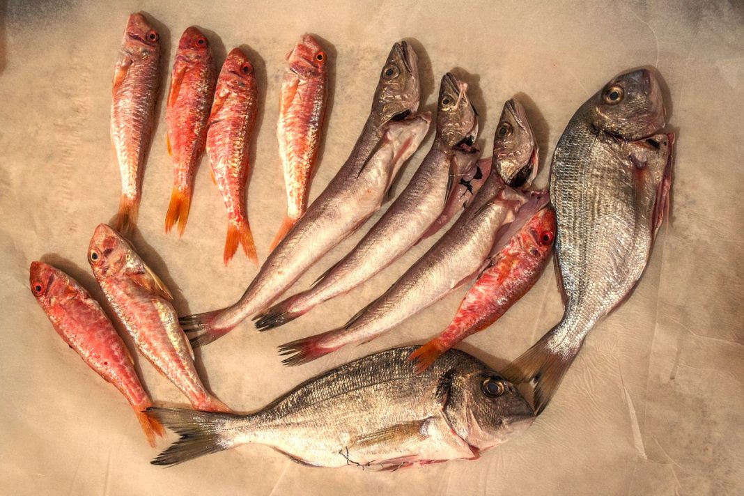 Caldero del Mar Menor: así se hace este plato consistente