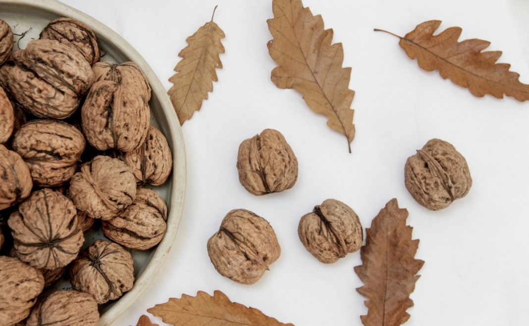 ¡No tienes las cáscaras de nueces! Los otros usos que pueden tener