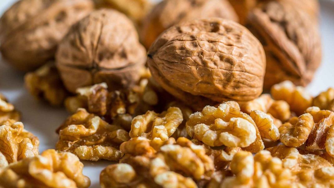 ¡No tienes las cáscaras de nueces! Los otros usos que pueden tener