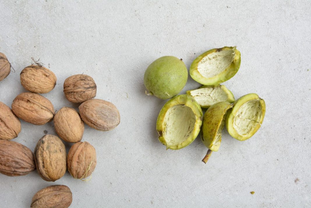 ¡No tienes las cáscaras de nueces! Los otros usos que pueden tener