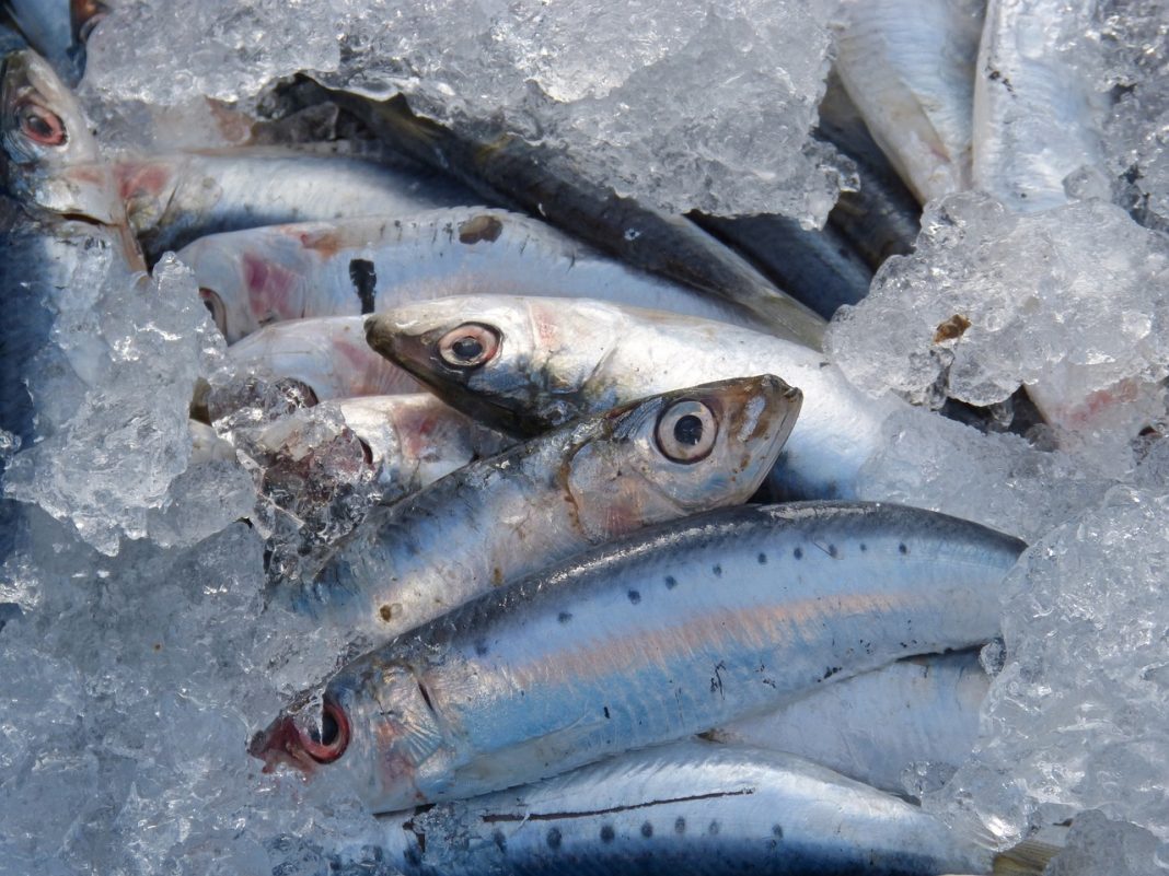 Boquerones en vinagre: los pasos que debes dar para hacerlos en casa en medio día