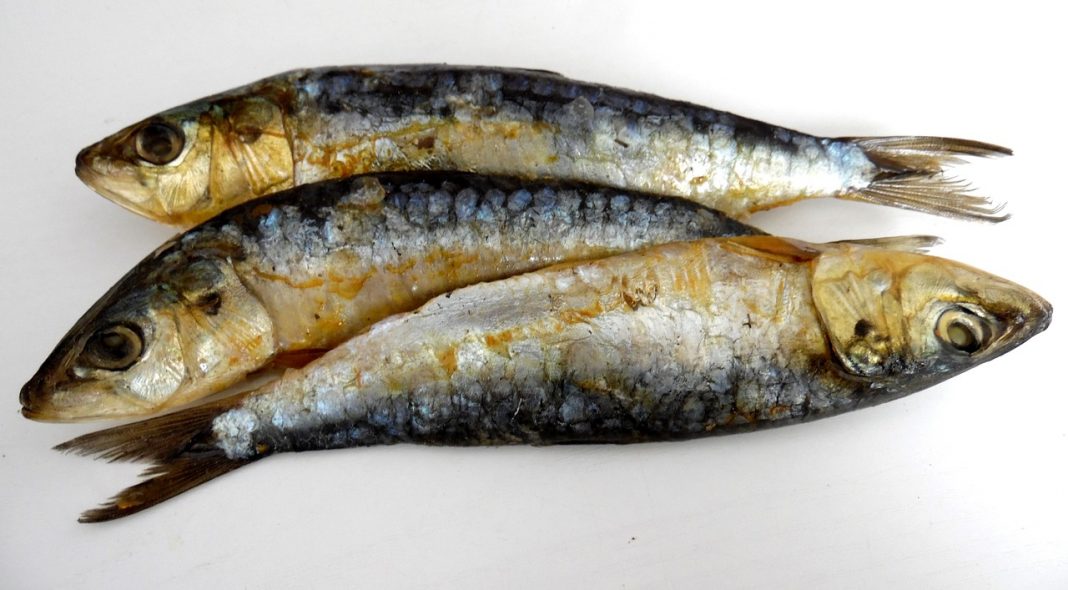 Boquerones al horno: qué llevan y cuánto tiempo debes dejarlos