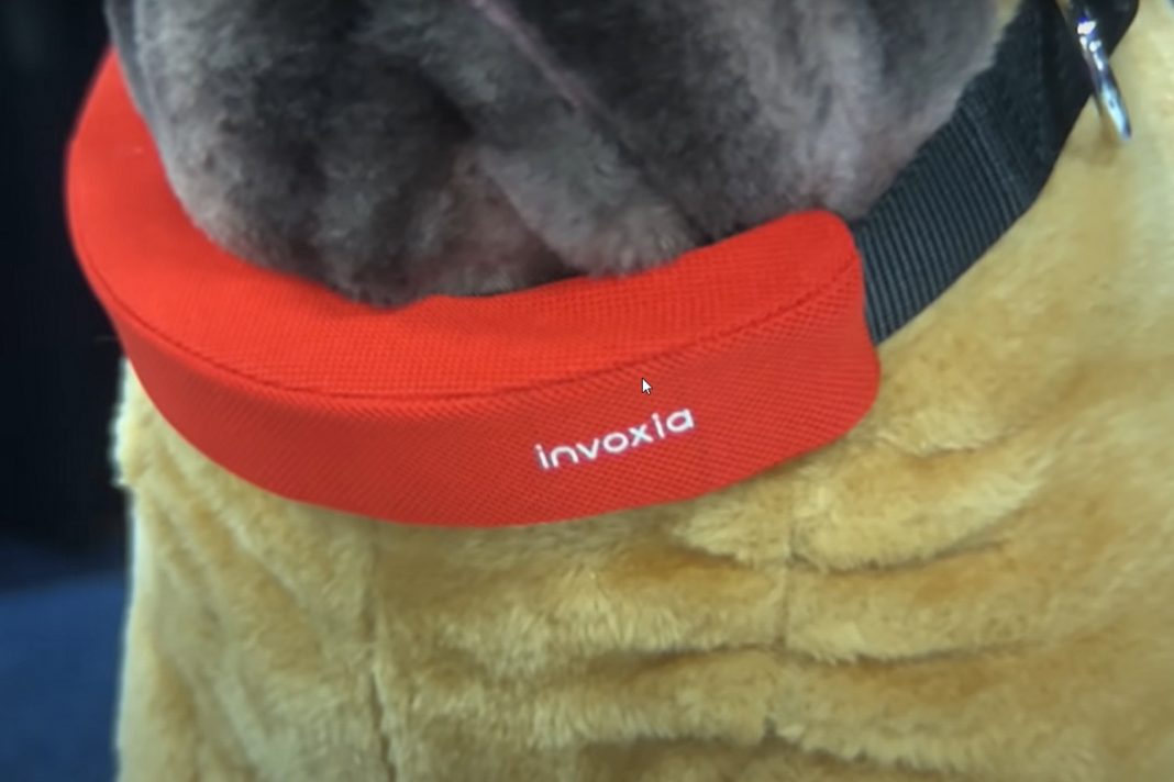 Así es el Apple Watch para tu perro