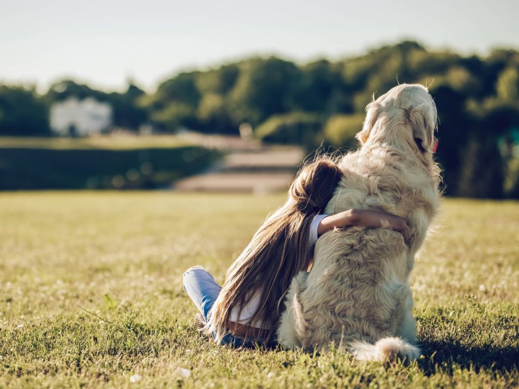 Así puedes saber si tu perro es un superdotado