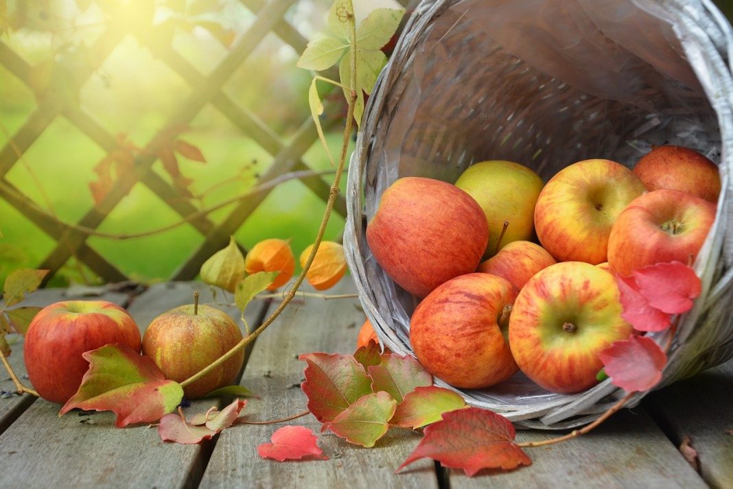 Manzanas asadas: esta es la mejor variedad para hacerlas