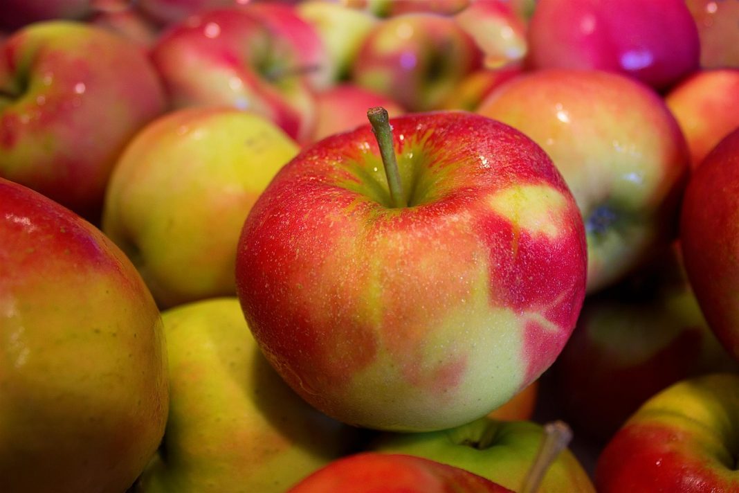 Por este motivo no debes comer manzanas a diario