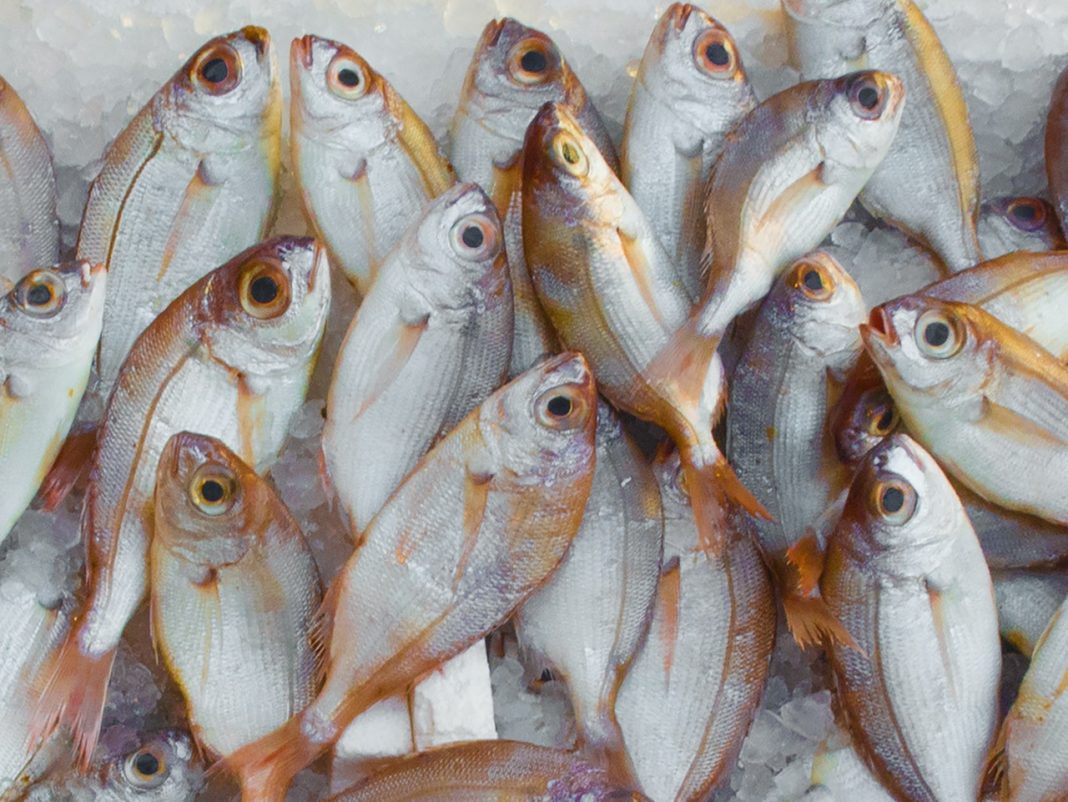 Caldero del Mar Menor: cómo hacer en casa el arroz al caldero más típico de Cartagena