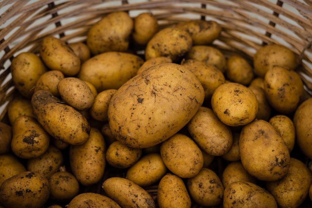 Estas son las mejores patatas para freírlas