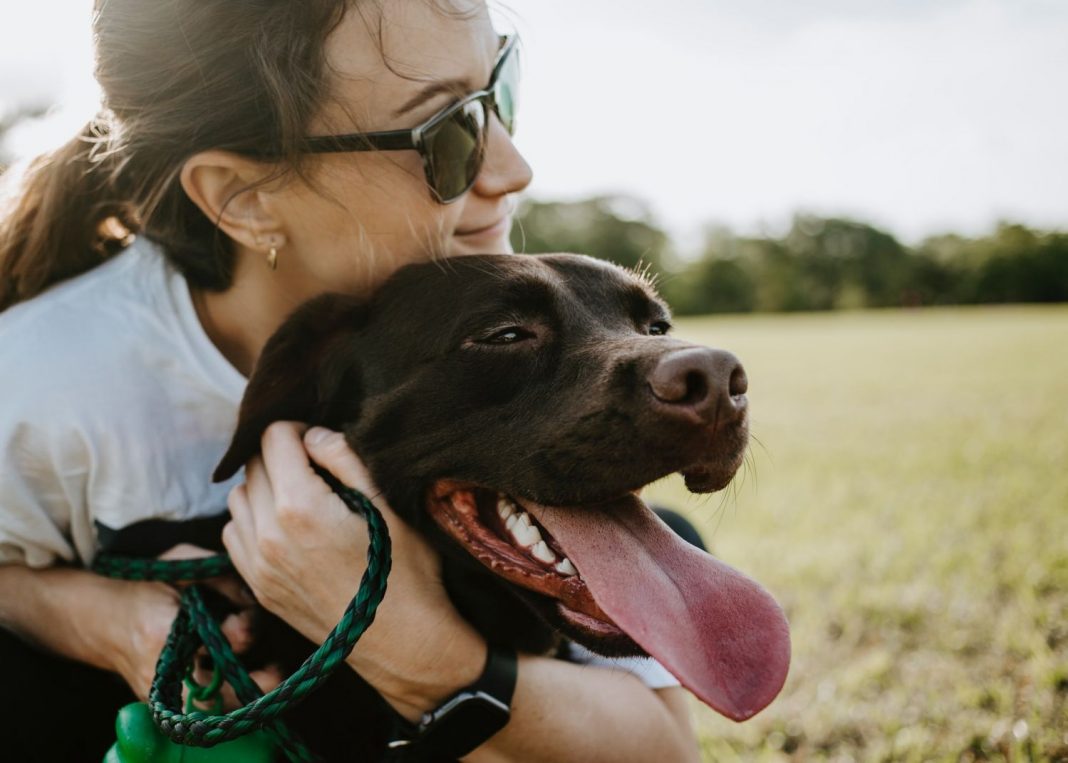 El motivo por el que no debes abrazar a tu perro