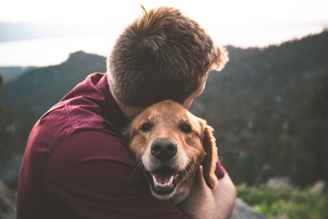 El motivo por el que no debes abrazar a tu perro