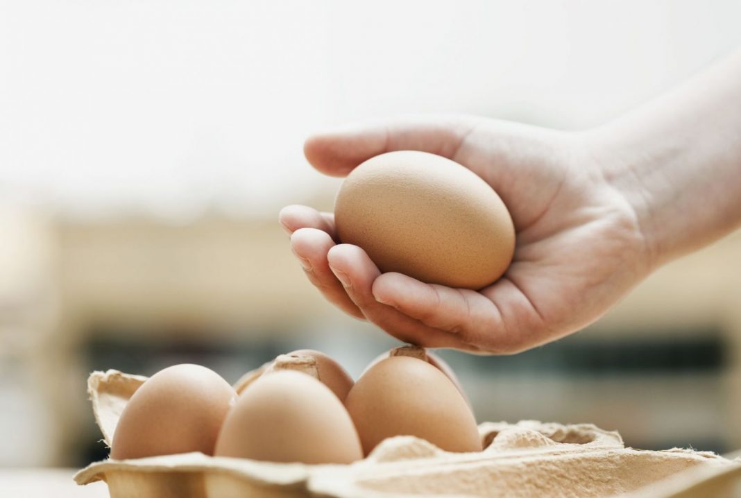 ¿Huevos caducados? El truco para consumirlos sin enfermar