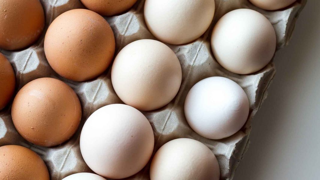 ¿Huevos caducados? El truco para consumirlos sin enfermar