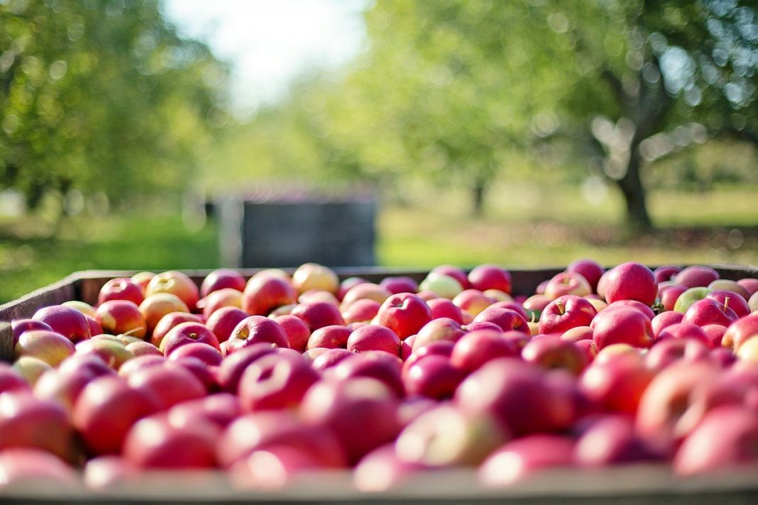 Frutas y verduras que conservan más pesticidas