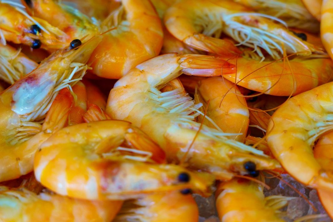 De las gambas a la cerveza alimentos que te pueden dar gota