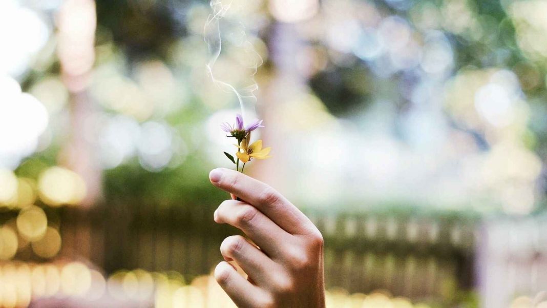 El lugar perfecto para los ambientadores en casa