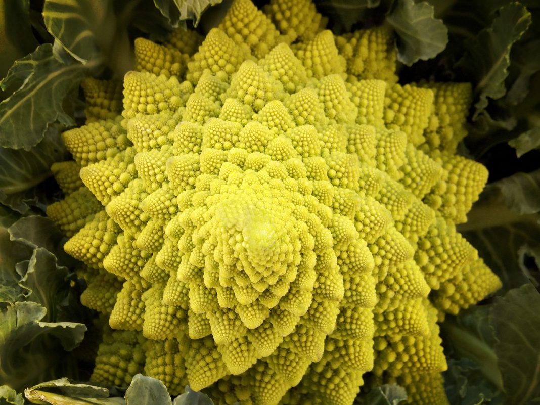 romanescu