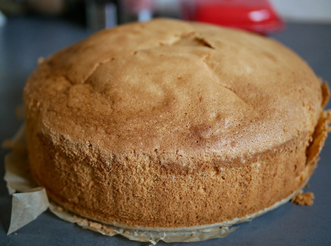 Bizcocho de avena: el postre saludable que puedes tomar aun estando a dieta