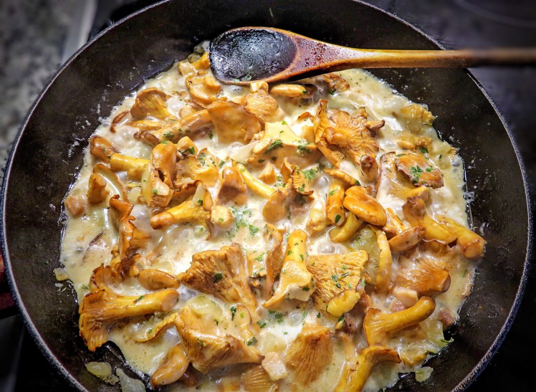 Champiñones a la crema el plato más exquisito que no querrás compartir con nadie