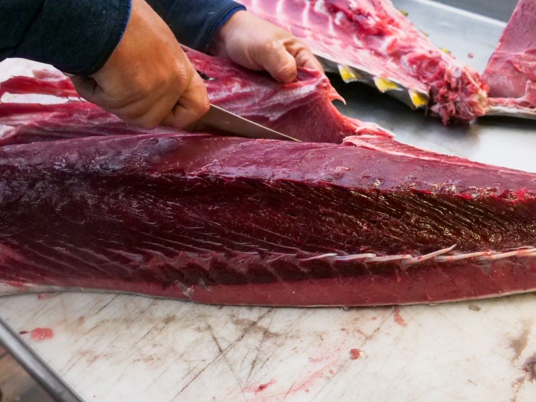 Atún encebollado la receta de Cádiz que harás en 30 minutos (y no durará ni 10)