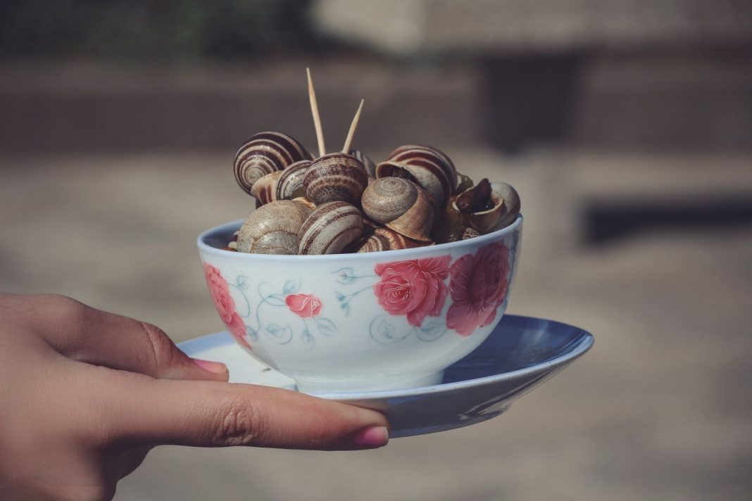 Caracoles en salsa este es el tiempo que debes tenerlos para que salgan exquisitos