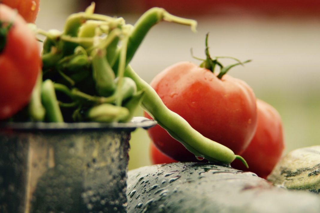 Caracoles en salsa este es el tiempo que debes tenerlos para que salgan exquisitos