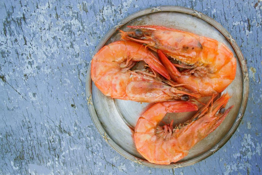 Paella estos son los mejores pescados para hacerla con sabor a mar