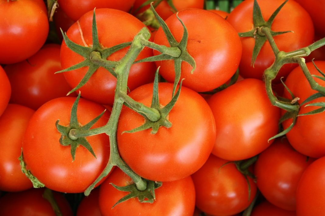 Patatas bravas el ingrediente que le echa Arguiñano para hacerlas irresistibles