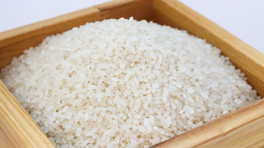 El consumo de arroz y el sobrepeso