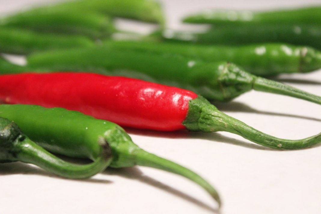 Pimientos del piquillo errores que cometes que destrozan el plato