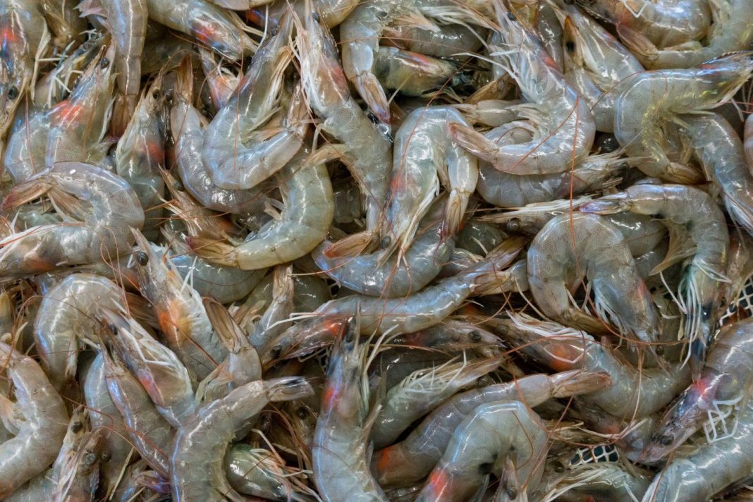 Arroz con gambas así lo hace Chicote para desterrar para siempre la paella