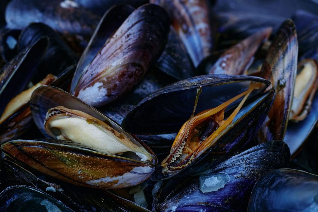 El plato preferido de Dani García en Mallorca y cómo prepararlo