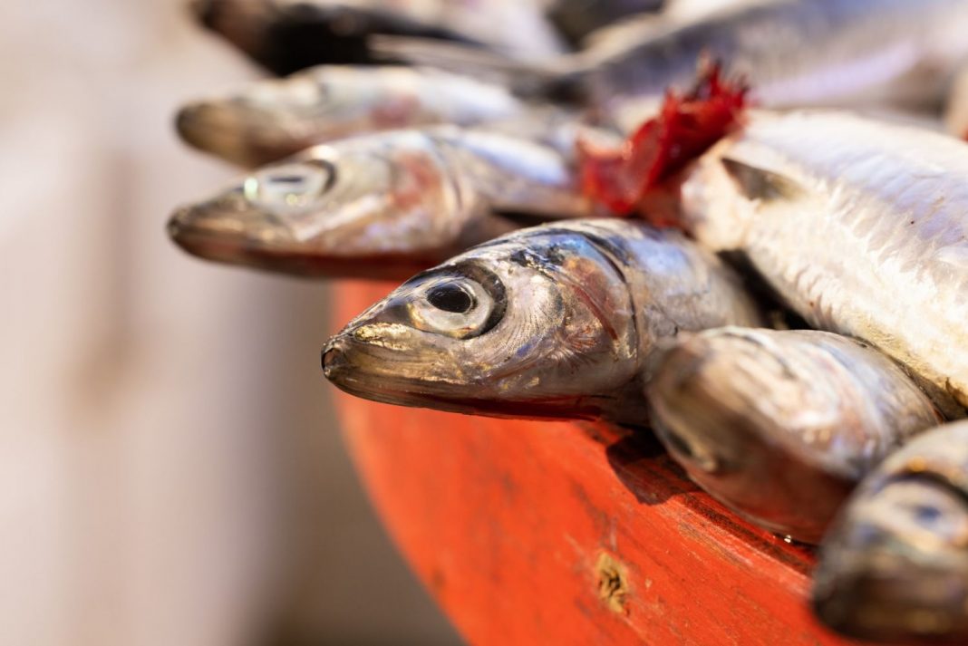 Boquerones amoragaos, la curiosa receta granaína que te gustará más que los de vinagre