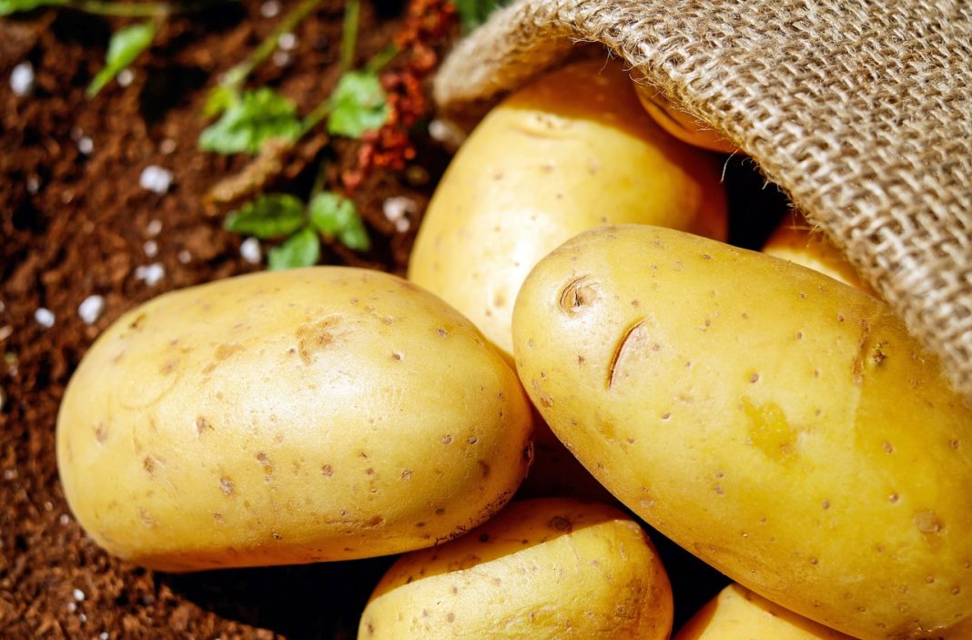 Así se cocinan las patatas fritas belgas que están tan buenas