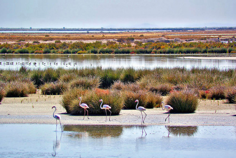 Parque Nacional de Doñana