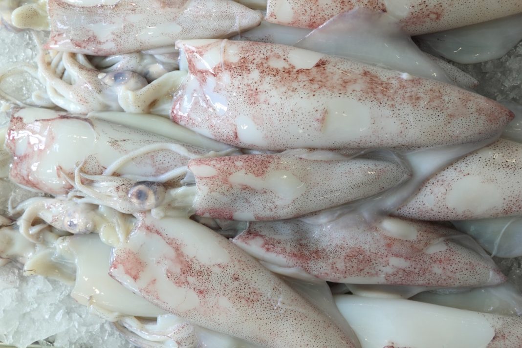 Puntillas de calamar trucos para freírlas y que no queden duras