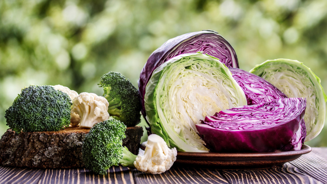 Verduras de hoja verde