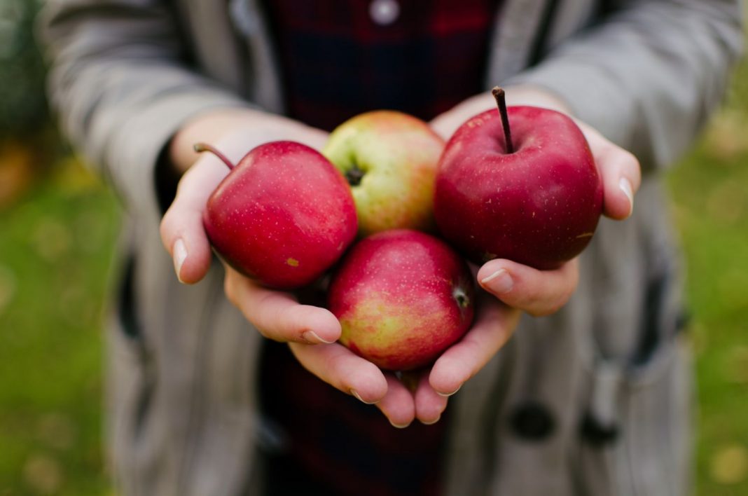 manzanas