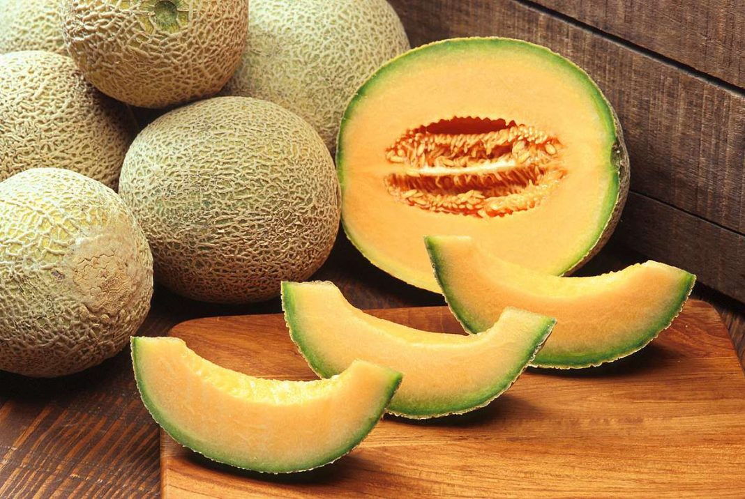 Beneficios del melón