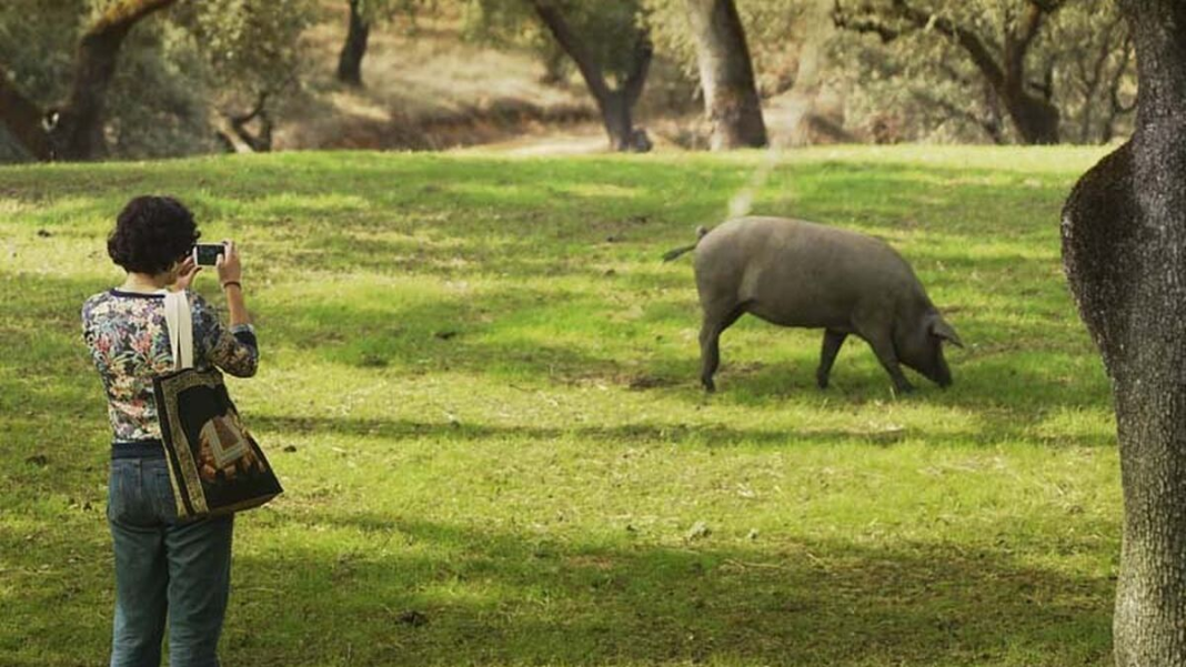 ¿Y el jamón ibérico de Huelva?